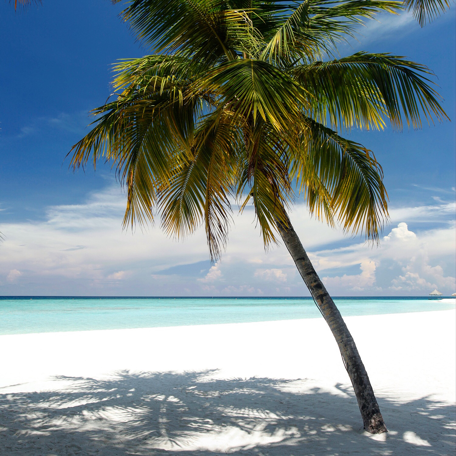Maledives
