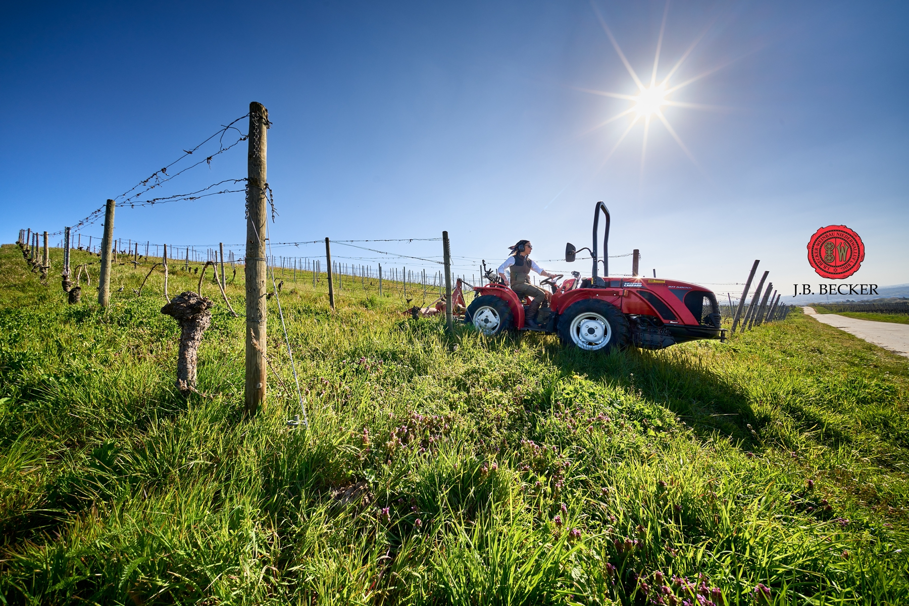 Eva Becker Weingut J.B.Becker